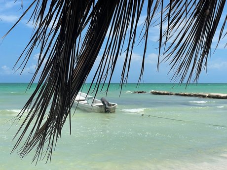 Monna porn actress pics