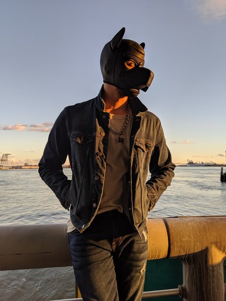 Pup Beaux Blac star exclusive gallery