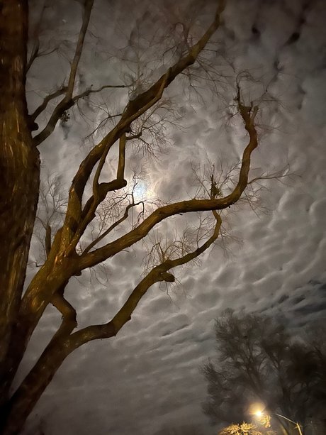 LDG model beautiful picture