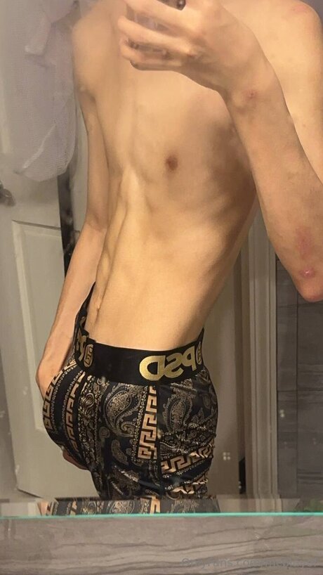 McPlayGT model image