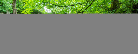 Maxine After Dark pornstar nude archive