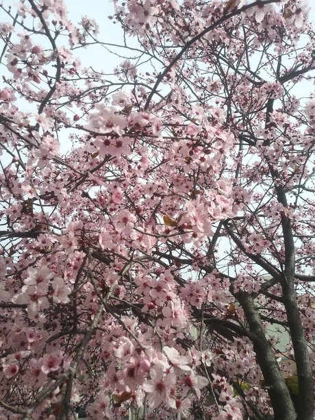 Mer Castro model top pic