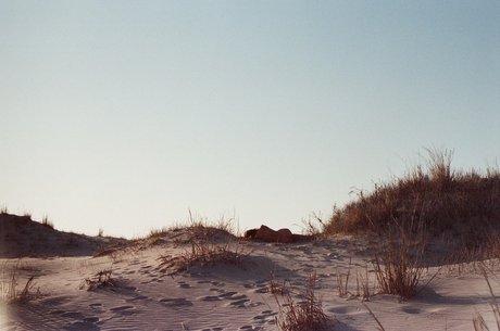 meredith adult star image