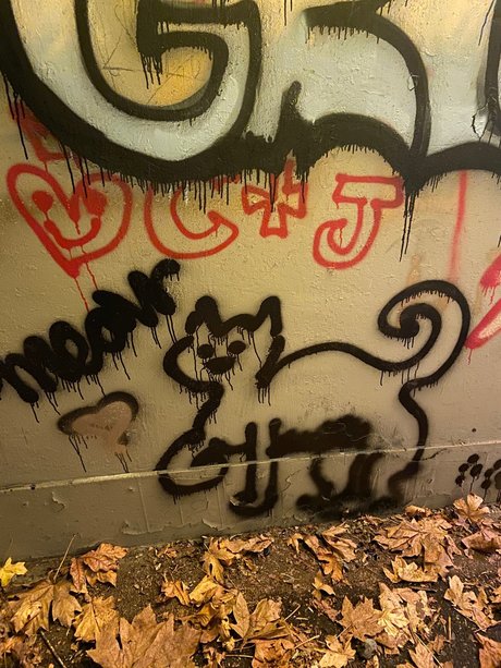 Meowjwanna star naked pic