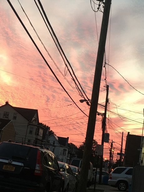 Melonigga top pornstar images