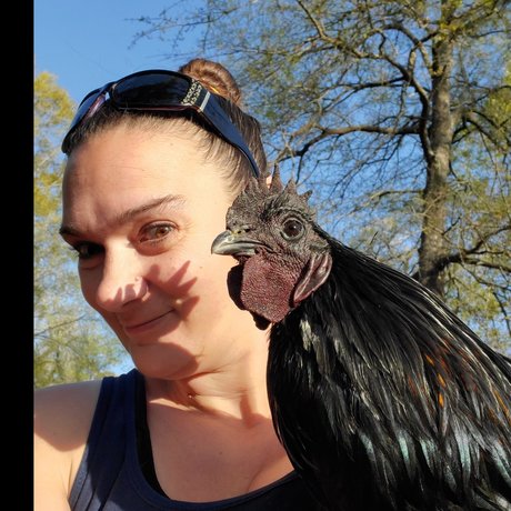 Bellabodice xxx star galleries