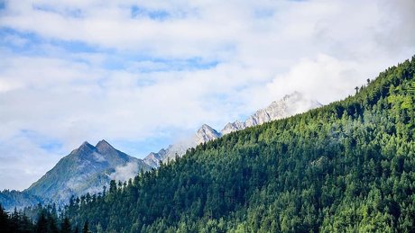 Bela San TS pornstar best archive