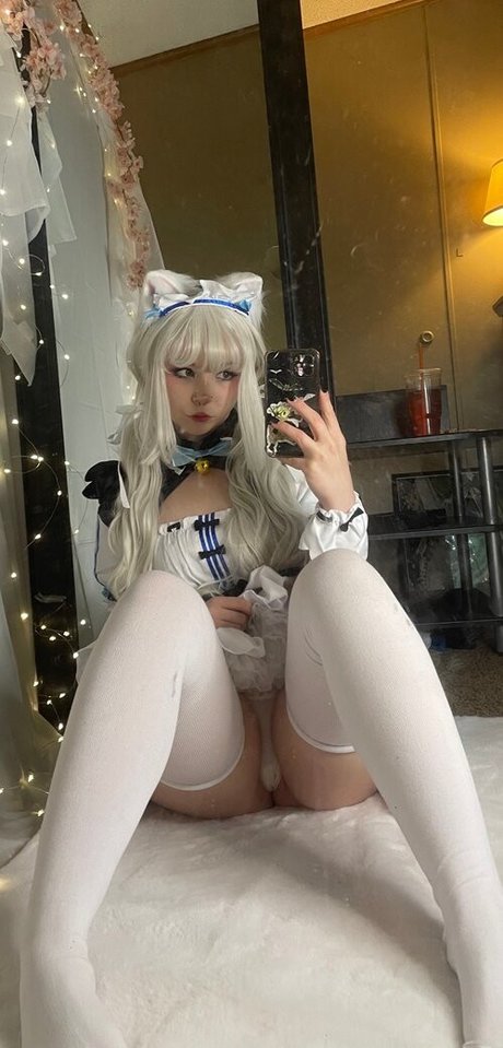 Pockycats star adult archive