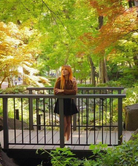 shelbygraces model art images