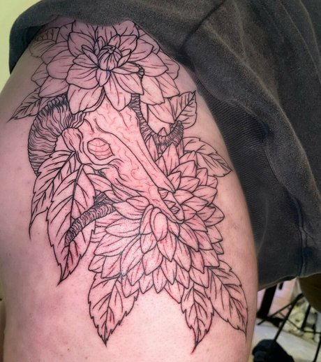 caseystreams pornstar high quality photo