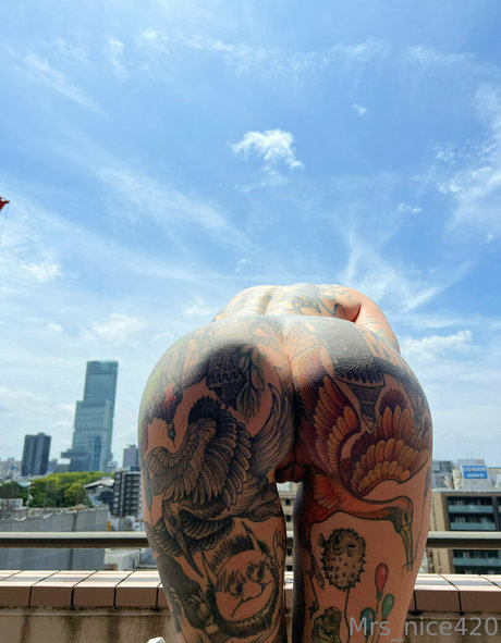 Mrs Nice hot pornstar galleries