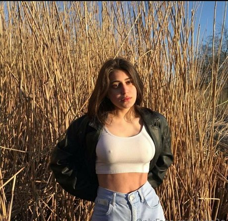 lynn2q star nice image