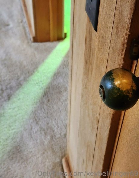 xevbellringer69 hd model picture