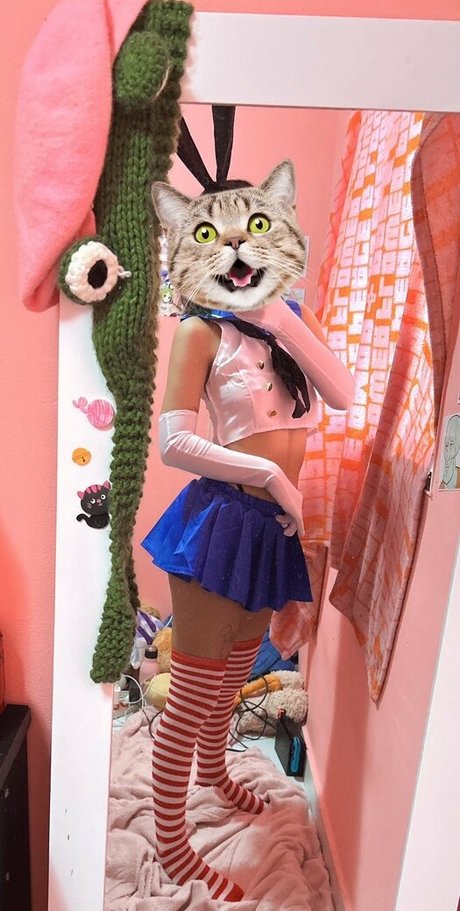 RingoRin model free picture