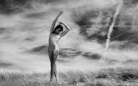 poly luna nice star image