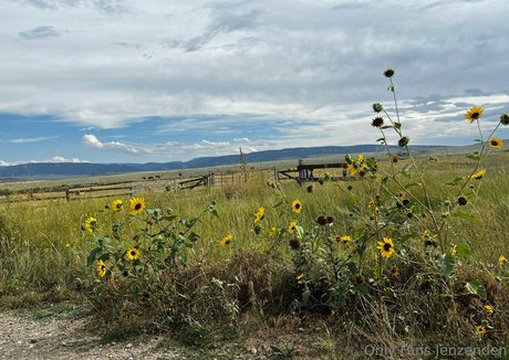 zendenjen69 erotic actress image