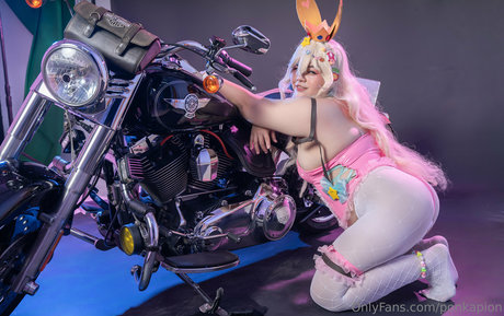 ponkapion top star gallery