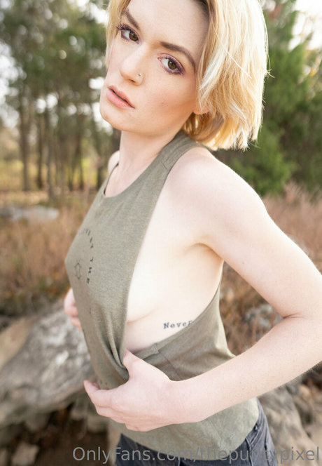 thepuritypixel pornstar hd archive