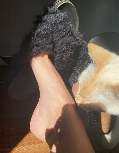 sofialutfree free actress pic