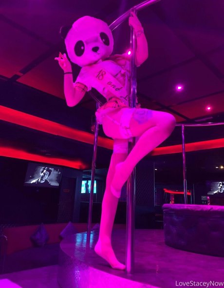 lovestaceynow porn model galleries