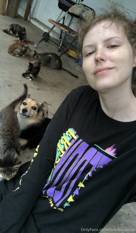 donutosaurus pornstar best gallery