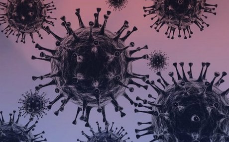 Dianaholiday pornstar top archive