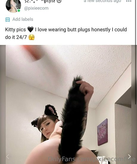 pixieecomfree model perfect galleries