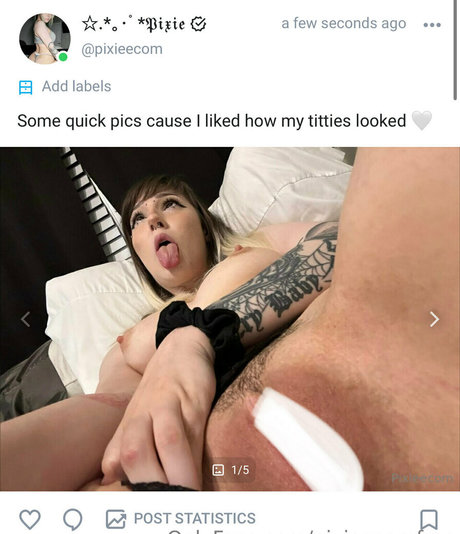 pixieecomfree pornstar top pictures