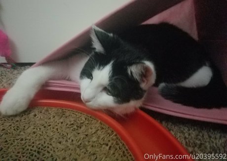 sqregina nice actress pictures