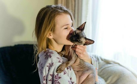 gwitch star high quality pictures