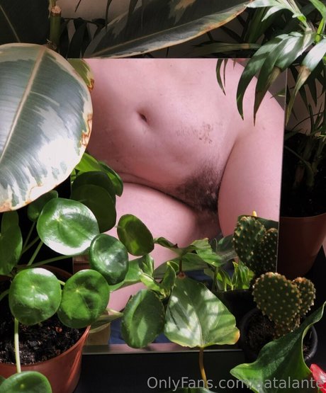 aatalante pornstar hd picture