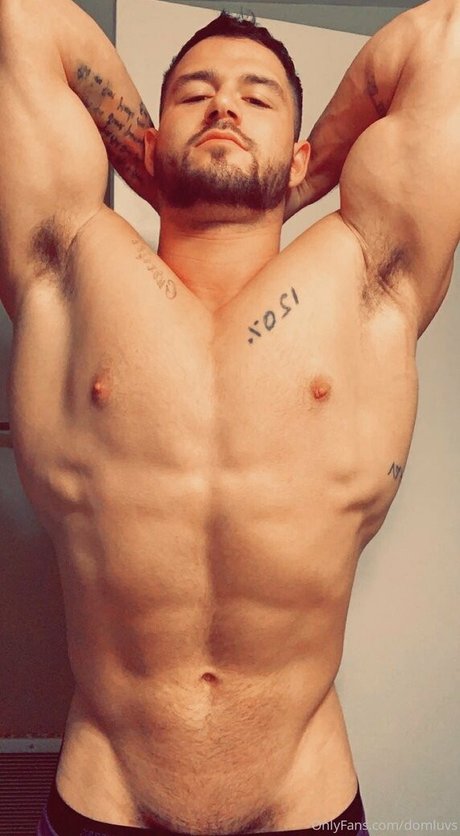 domluvsfree model best img