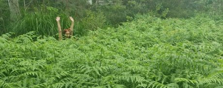 missmenace of star hd picture