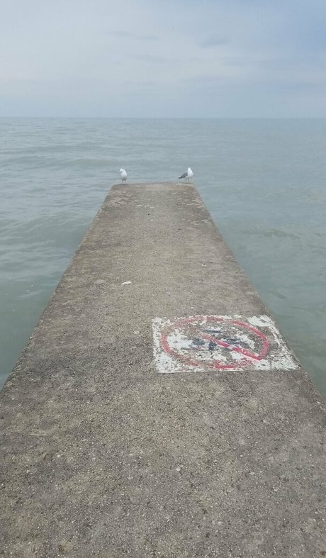 girlnumbersix best pornstar archive