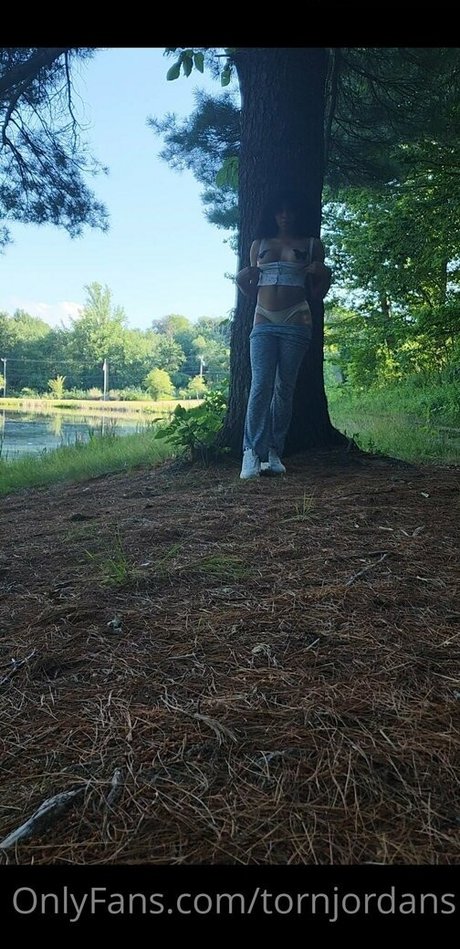 tornjordans nude star image
