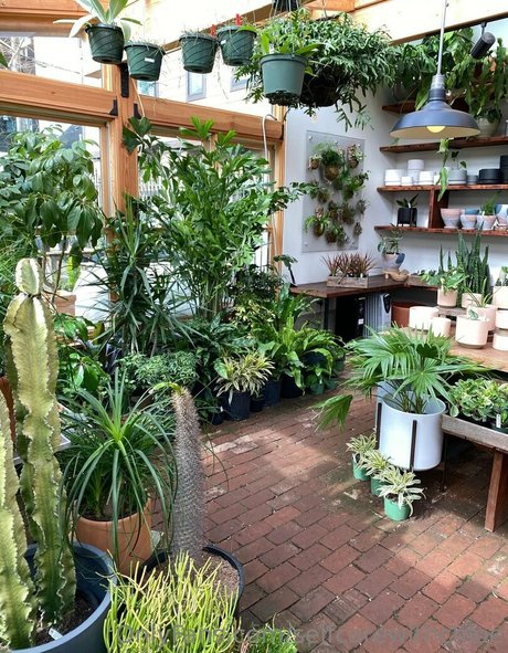 selfcarewithchloe star erotic pictures