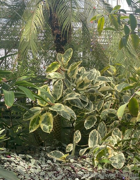 selfcarewithchloe star nude gallery