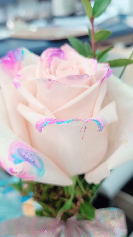 bigeddygurl erotic actress gallery