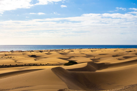 Dutchmguy87 model best picture