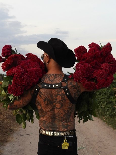 Diego Mexakuza beautiful star img