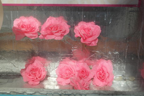 Metsanneiti star nice pictures