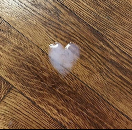 Bad Bear Cub Club hd star images