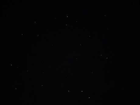 Laila Rose pretty pornstar galleries