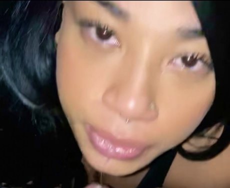 Vaedathevixen model art pic