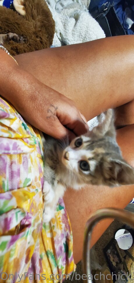 Beach Chick 321 model sex photo