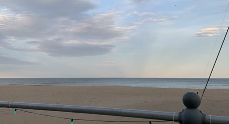 Beach Babez nudes star galleries