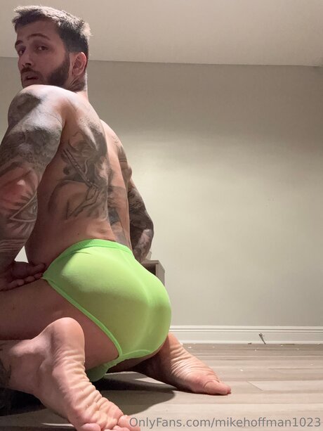 Michael A Hoffman star top picture