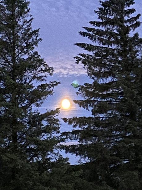 Alexander Bach model hd img