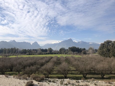 Antalya Bisex pornstar top archive