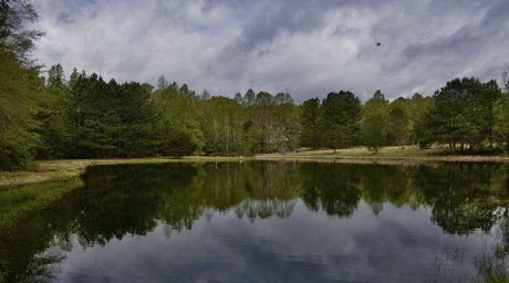 BigJoeLuvin23 pornographic star img